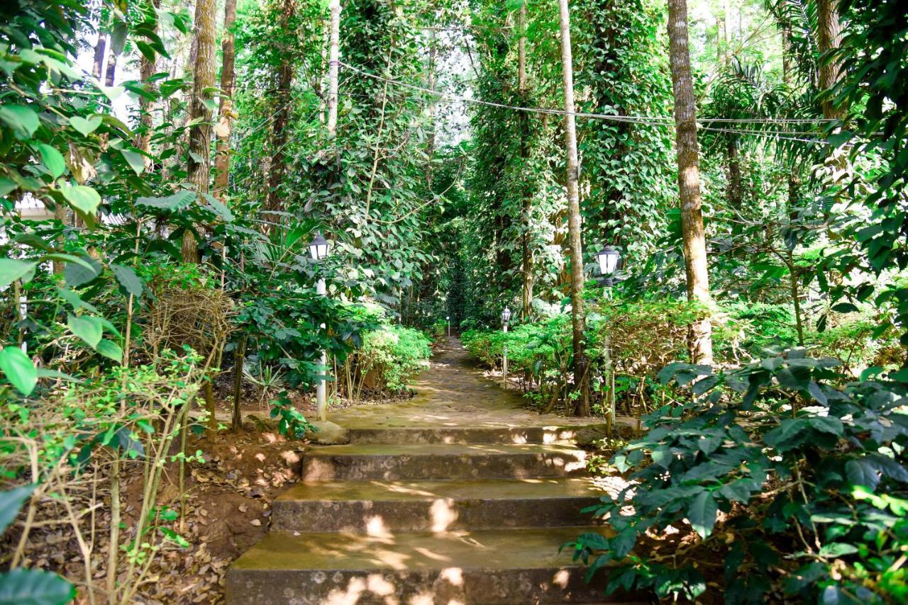 The Spectrum Resort - Chikmagalur Exterior photo