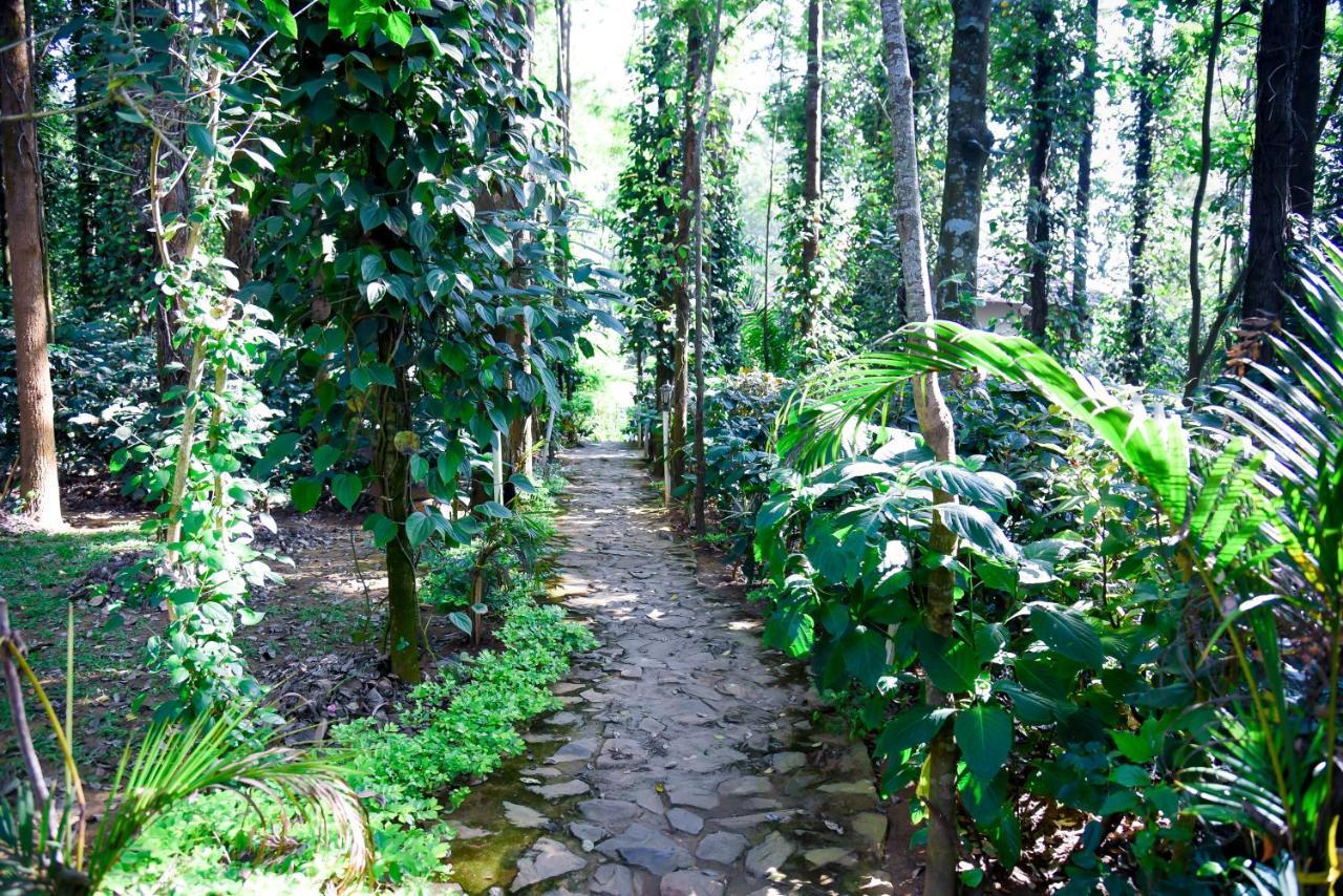 The Spectrum Resort - Chikmagalur Exterior photo